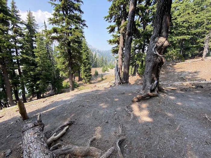 Moraine Lake Campsite Picture 1