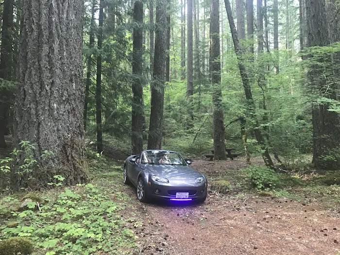 Frissell Crossing Campground Picture 4