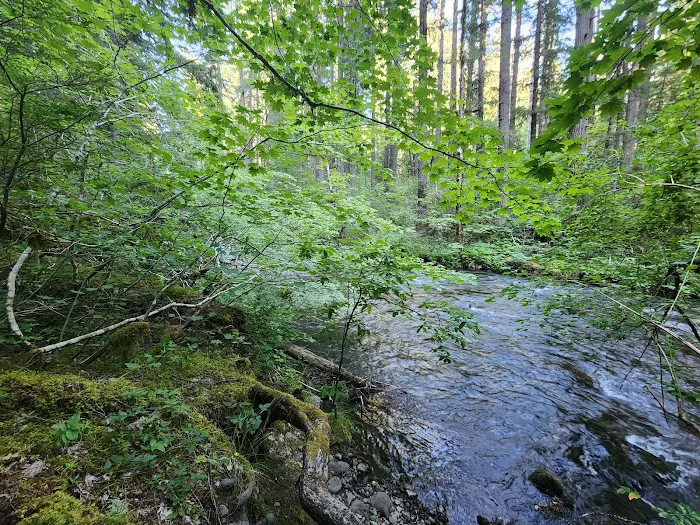 Frissell Crossing Campground Picture 5