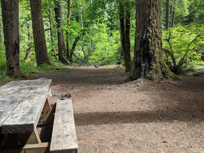 Frissell Crossing Campground Picture 8