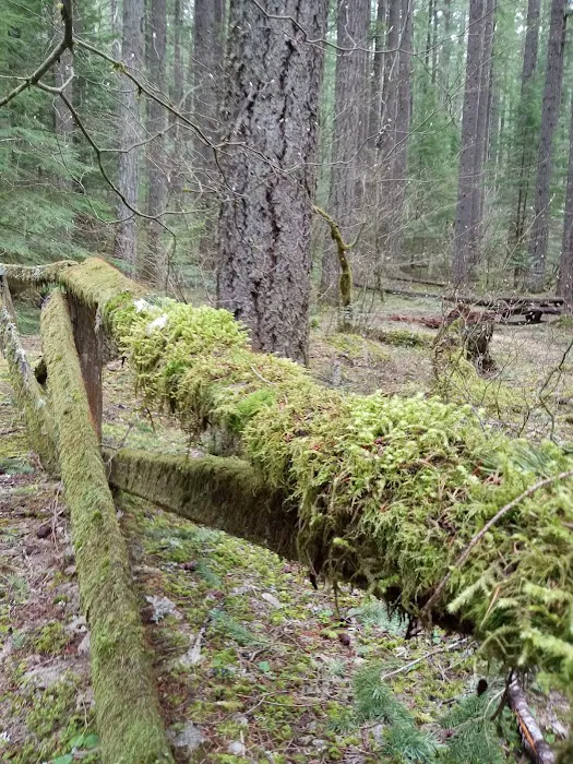 Frissell Crossing Campground Picture 6