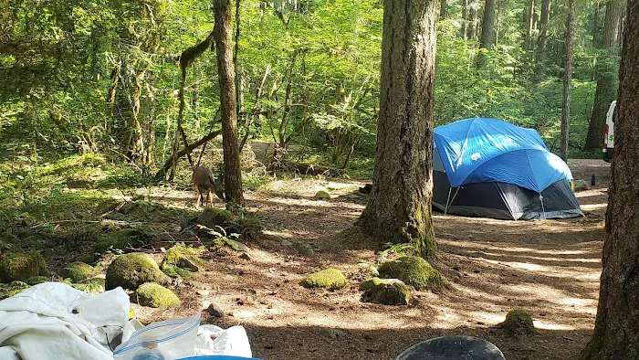 Roaring River Group Campground Picture 2