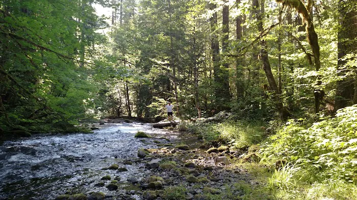 Roaring River Group Campground Picture 5