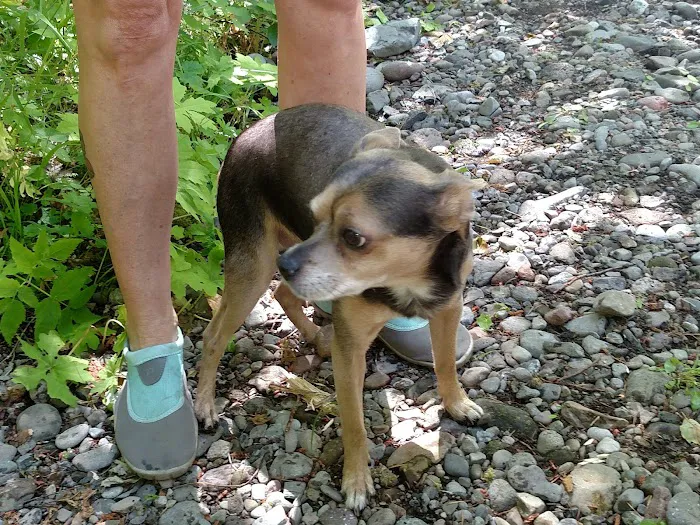 Roaring River Group Campground Picture 7