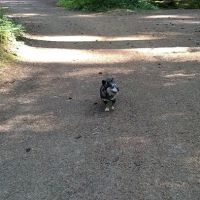 Roaring River Group Campground ico