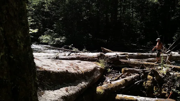 Roaring River Group Campground Picture 4