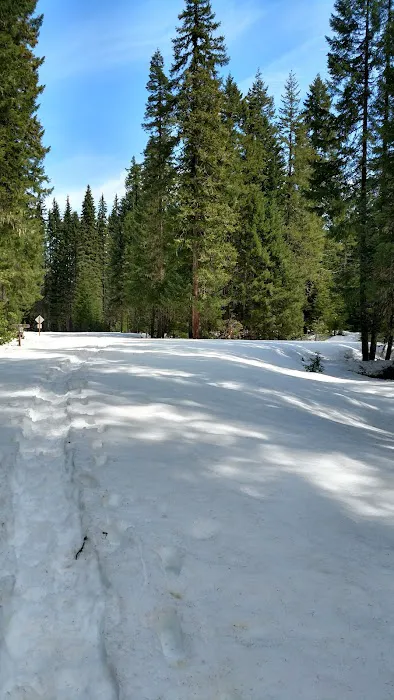Box Canyon Horse Camp Picture 4
