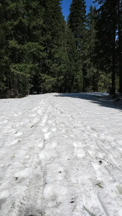 Box Canyon Horse Camp Picture 2