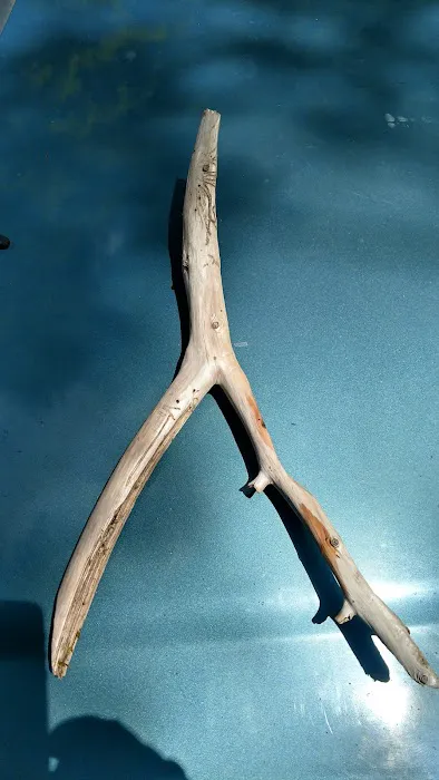 Box Canyon Horse Camp Picture 1