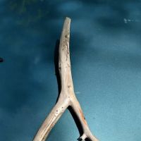 Box Canyon Horse Camp ico