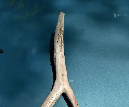 Box Canyon Horse Camp