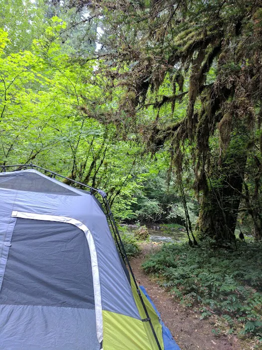 Kiahanie Campground Picture 6