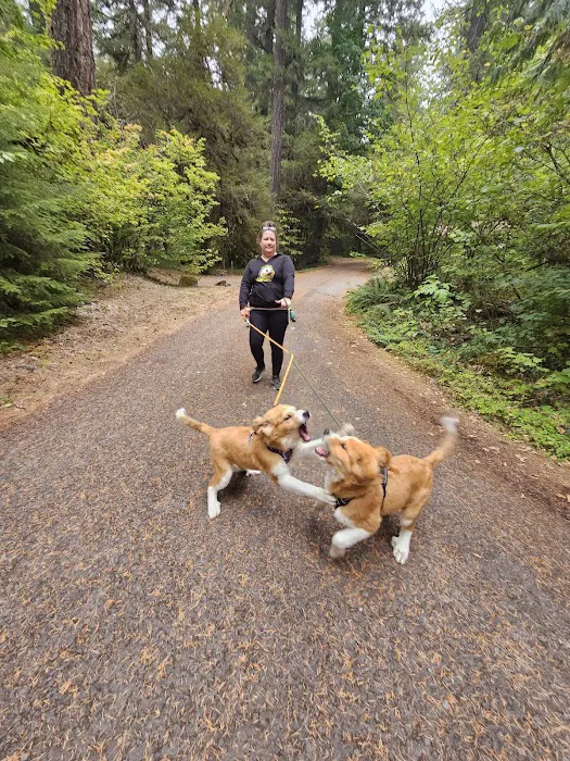 Kiahanie Campground Picture 5