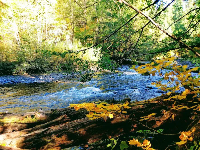 Kiahanie Campground Picture 10