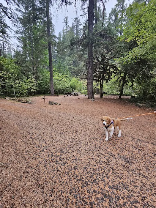 Kiahanie Campground Picture 4
