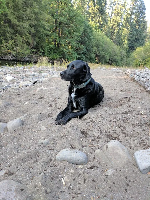 Kiahanie Campground Picture 1