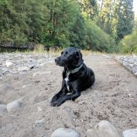 Kiahanie Campground ico