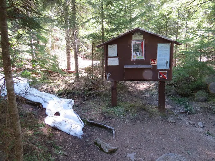 Skookum Creek Campground Picture 10