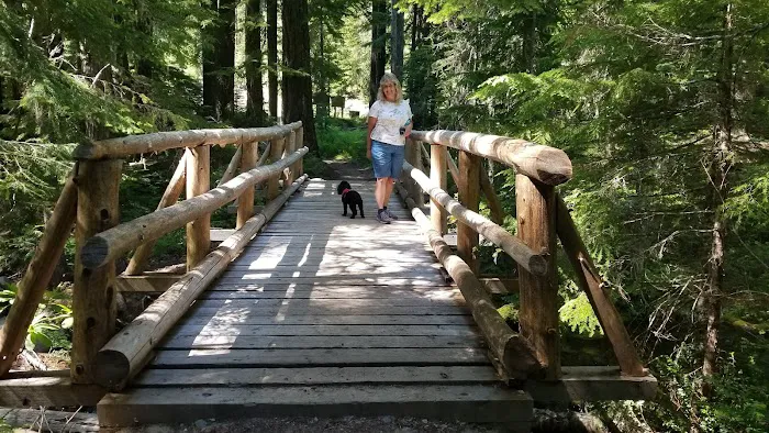 Skookum Creek Campground Picture 5