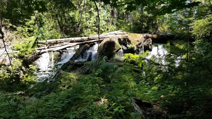 Skookum Creek Campground Picture 6