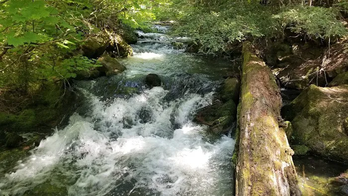 Skookum Creek Campground Picture 7