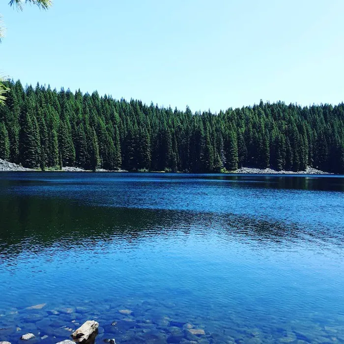 Skookum Creek Campground Picture 8