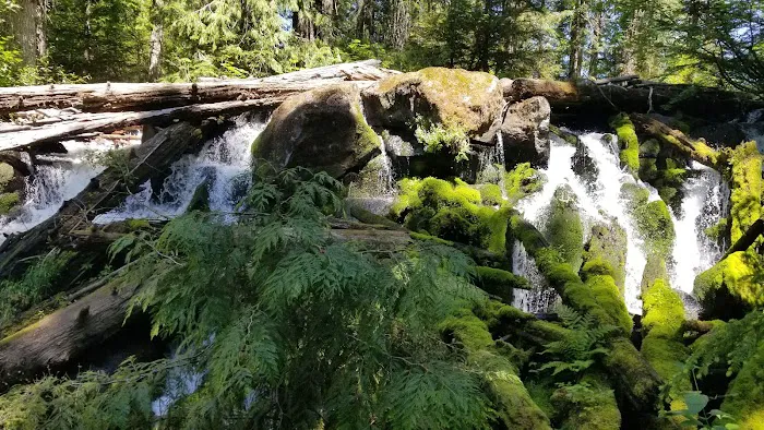 Skookum Creek Campground Picture 3