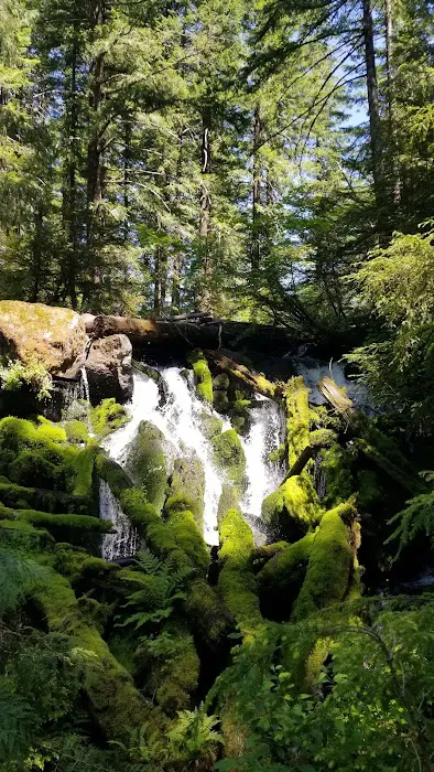 Skookum Creek Campground Picture 4