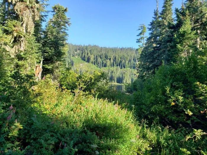 Blair Lake Campground Picture 9