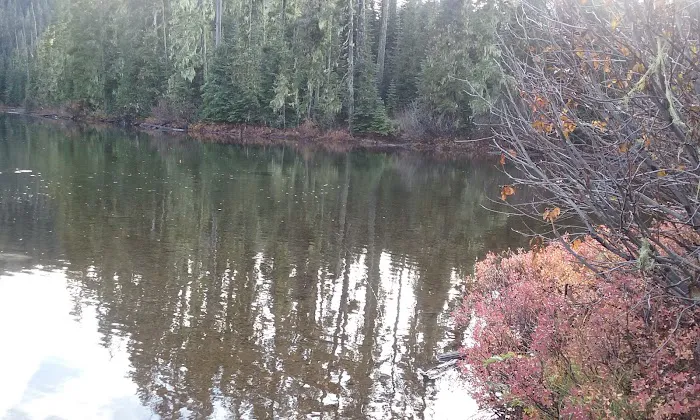 Blair Lake Campground Picture 1