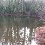 Blair Lake Campground