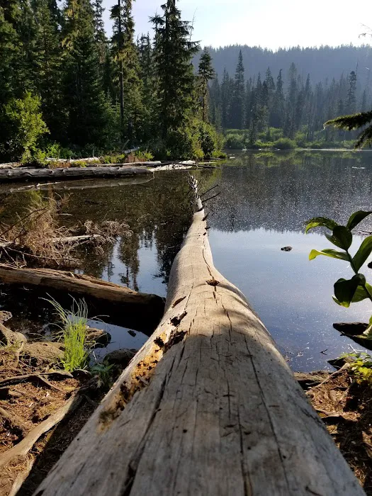 Blair Lake Campground Picture 8