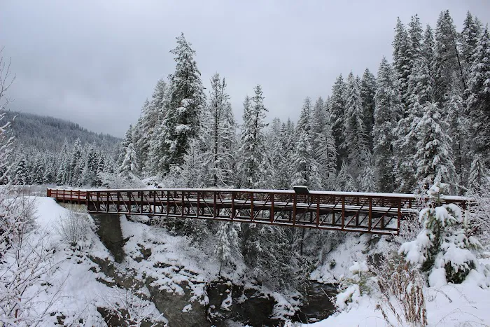 Mill Pond Campground Picture 2