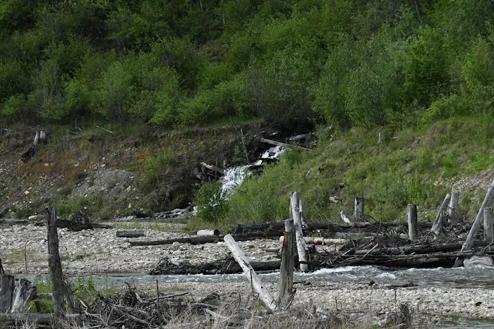 Mill Pond Campground Picture 3