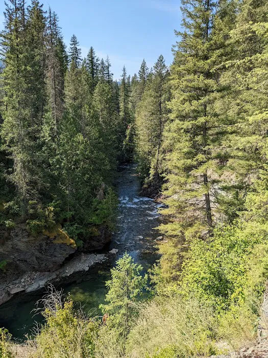 Mill Pond Campground Picture 1