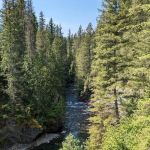 Mill Pond Campground