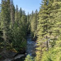 Mill Pond Campground ico