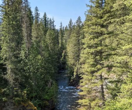 Mill Pond Campground