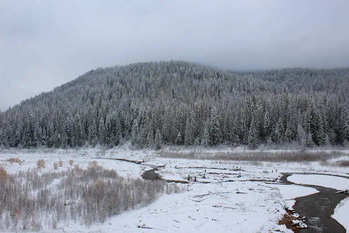 Mill Pond Campground Picture 8