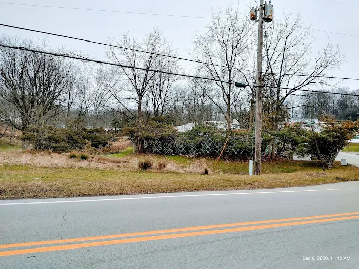 Placid Manor Picture 2