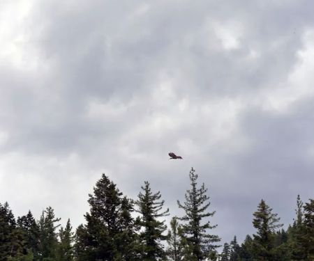 Grandview Campground