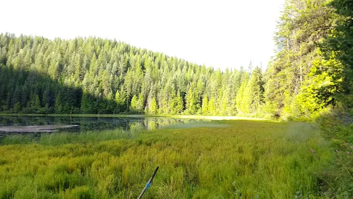 Petit Lake Campground Picture 1