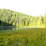 Petit Lake Campground