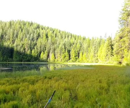 Petit Lake Campground