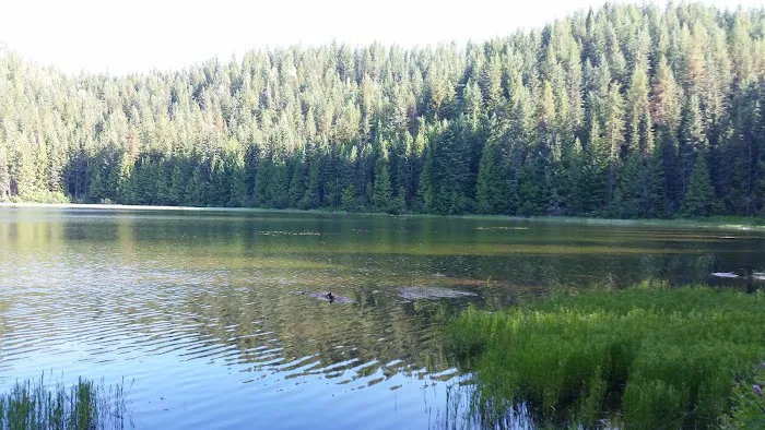 Petit Lake Campground Picture 2