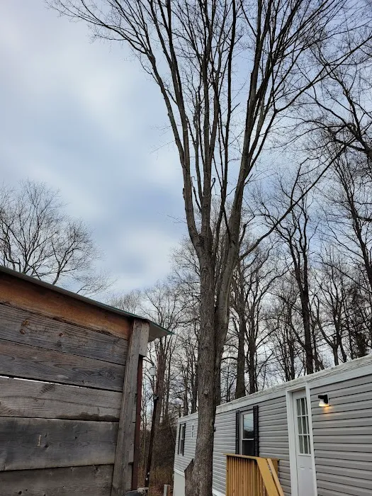 Twin Lakes Mobile Home & RV Park Picture 5