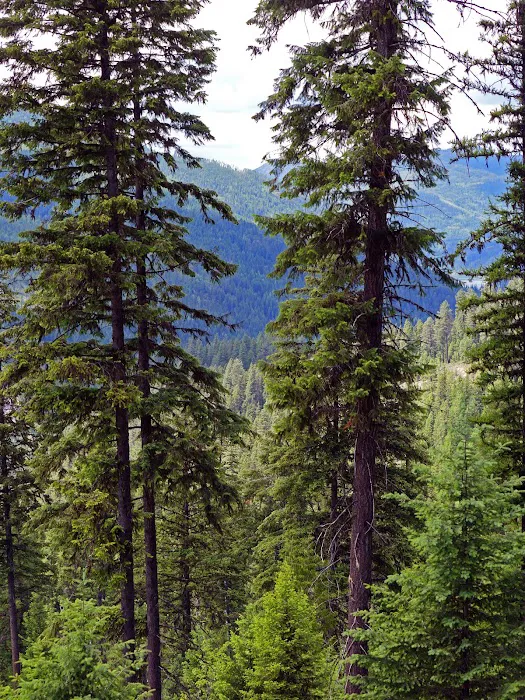 Ledbetter Cove Campground Picture 6