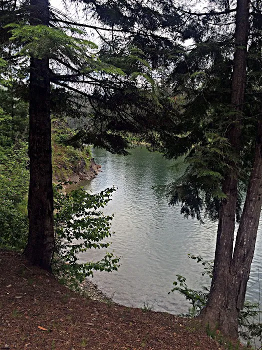 Ledbetter Cove Campground Picture 10