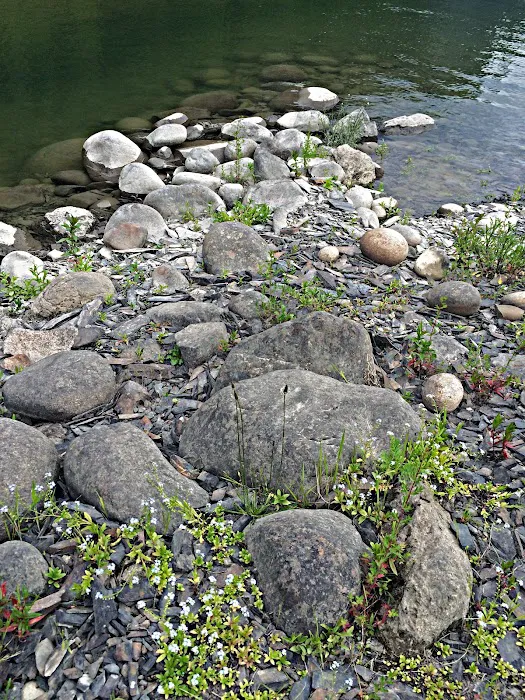 Everett Slough Campground Picture 3