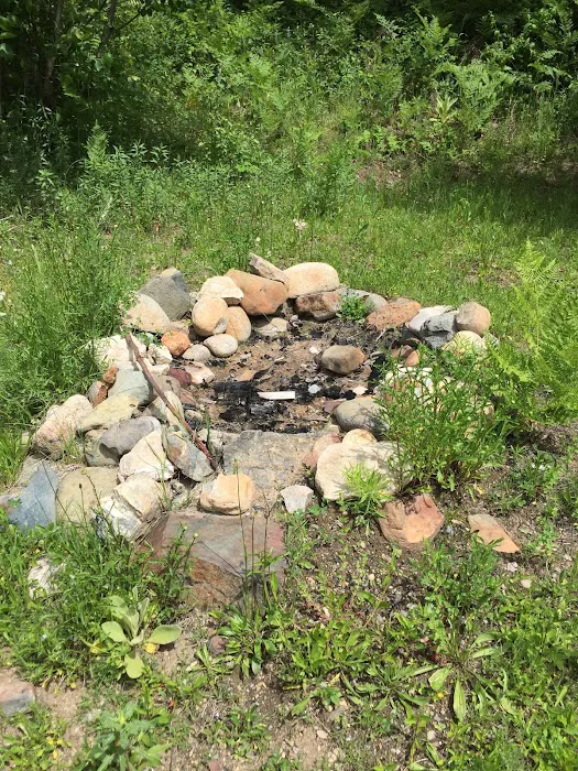 Everett Slough Campground Picture 7